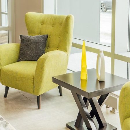 Bright & Comfortable Oakbrook 2Br Apt Free Parking - Ob 1 Lejlighed Oakbrook Terrace Eksteriør billede